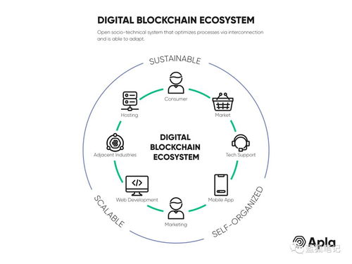 区块链生态,技术演进、应用创新与未来展望
