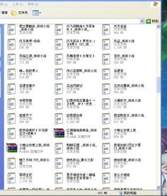 键盘网游小说,情动四公子