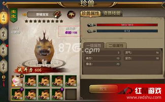 天龙八部手游宠物攻略,助力江湖征战攻略全解析