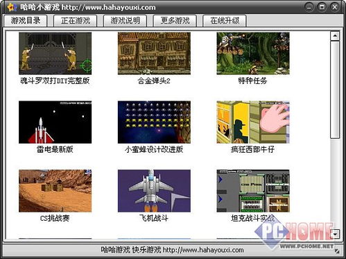 pc端单机游戏,探索PC单机射击与益智融合的奇幻之旅