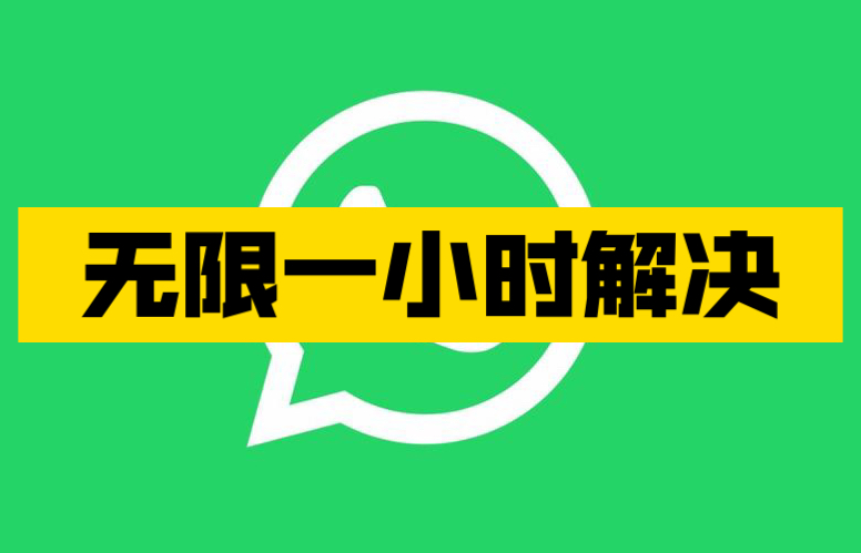 whatsapp最新版_最新版whatsapp下载_whatsapp最新版