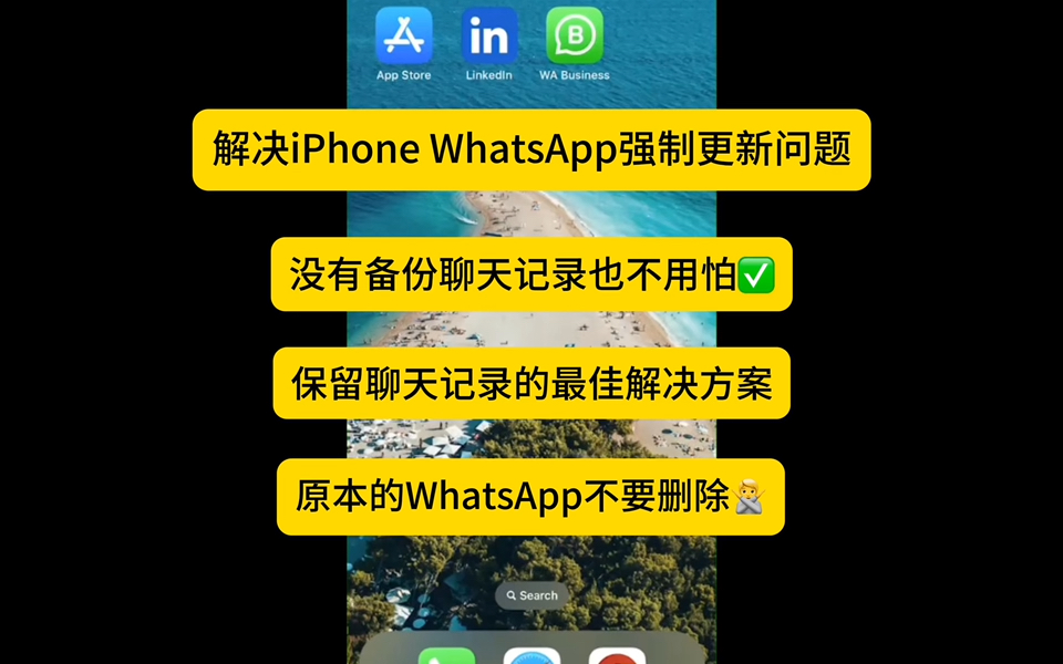 whatsapp安卓版_whatsapp安卓版_安卓版whatsapp下载