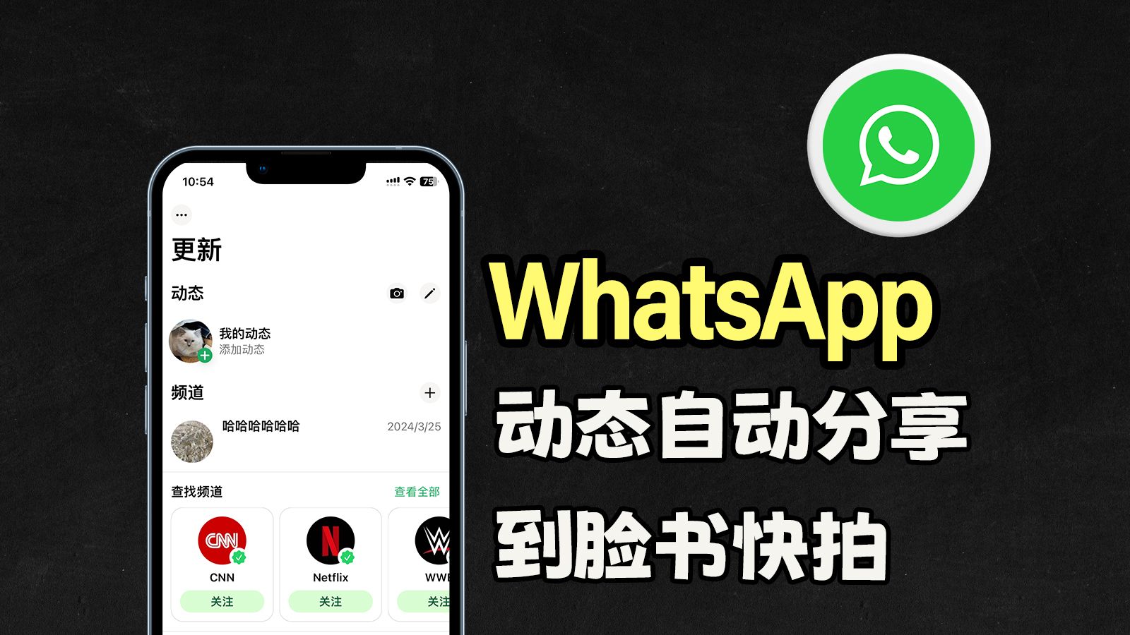 whatsapp官方最新版下载-WhatsApp 新版本震撼来袭，带来聊天生活大革新