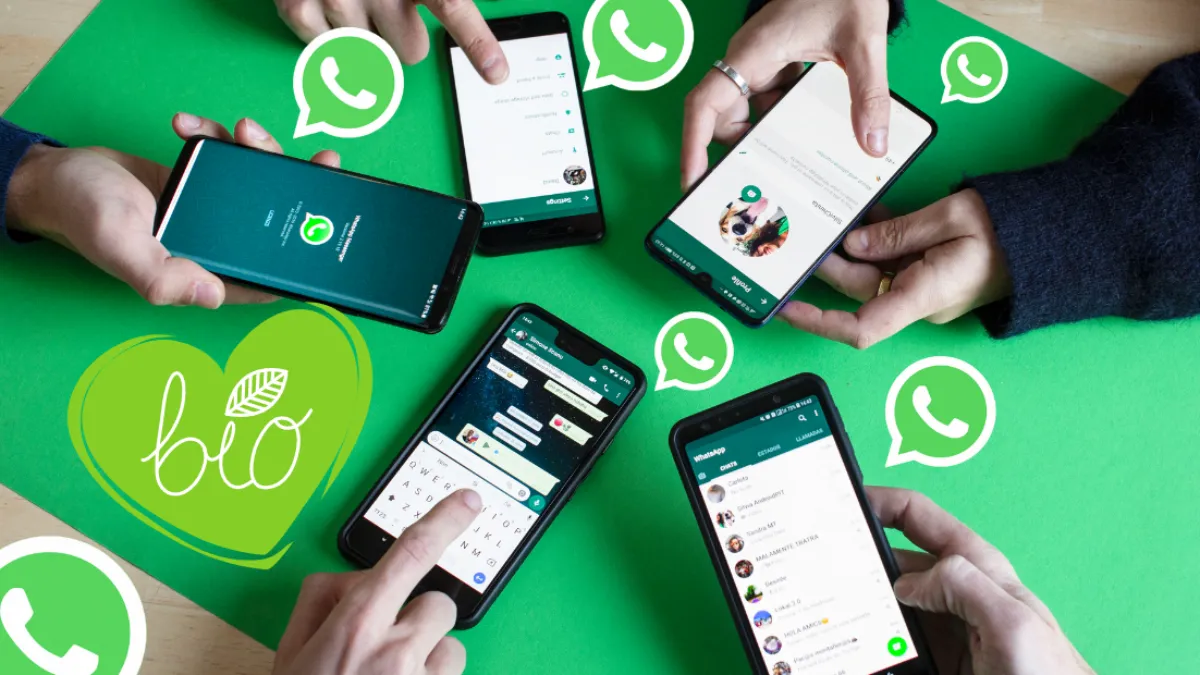 whatsapp国内正版下载_whatsapp中文版_whatsapp官方中文正版