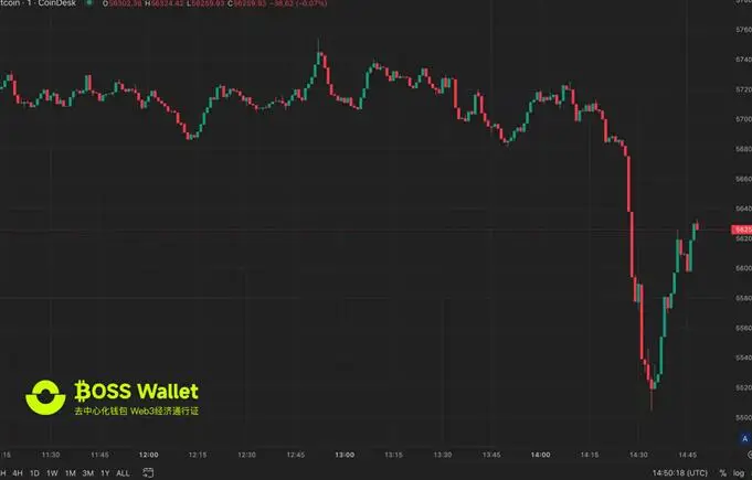 im钱包支持币安链吗_币钱包安全吗_blockchain钱包