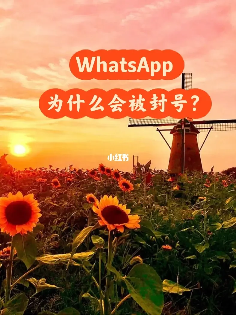 whatsapp官网下载_whatsapp官网版载_官网whatsapp下载安装