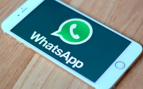 whatsapp最新版下载_whatsapp官方最新版下载_whatsapp官方最新版下载