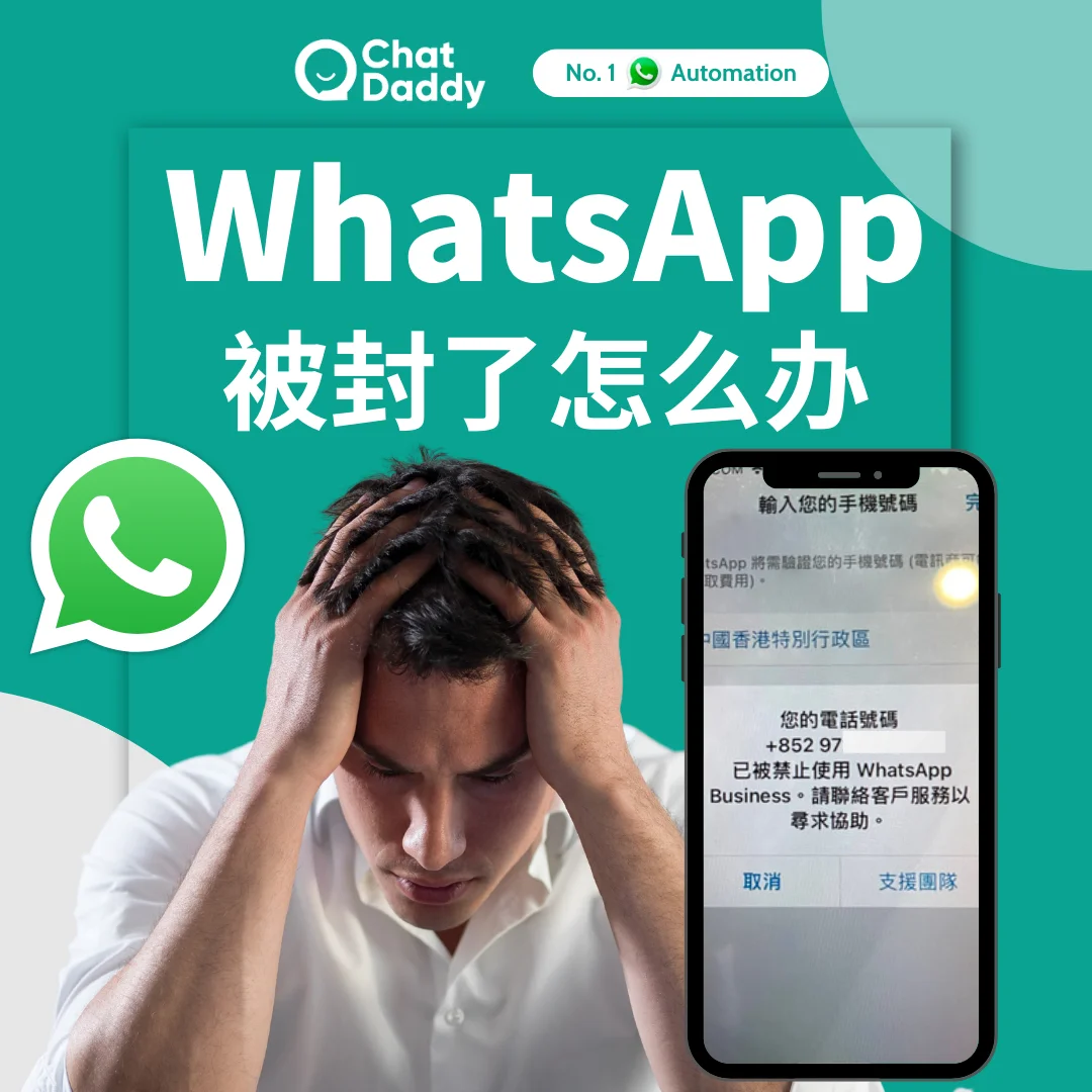 官网下载安装_官网下载app豌豆荚_whatsapp怎么下载官网