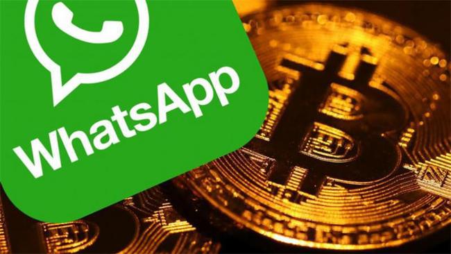 公司是什么意思_whatsapp是那个公司_公司是企业吗