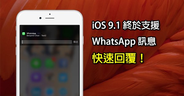 whatsapp安卓版_whatsapp安卓版_安卓版whatsapp下载