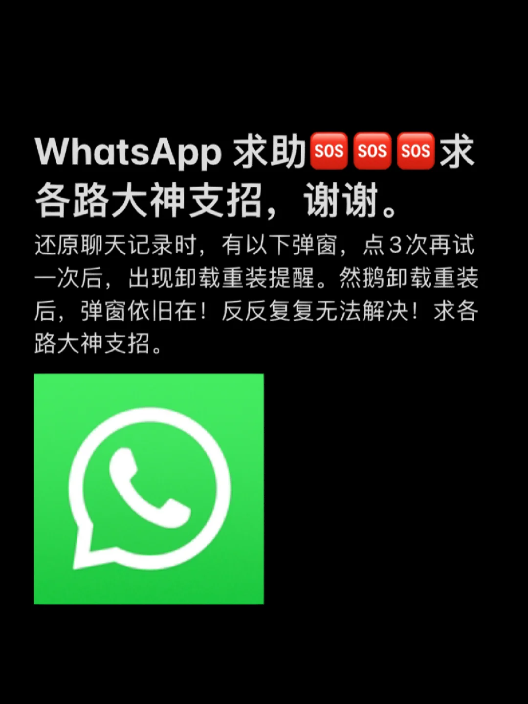 官方版手机管家最新版_官方版手机降温神器_whatsapp官方手机版