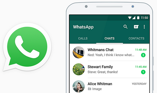 whatsapp最新版_whatsapp最新版_最新版whatsapp下载