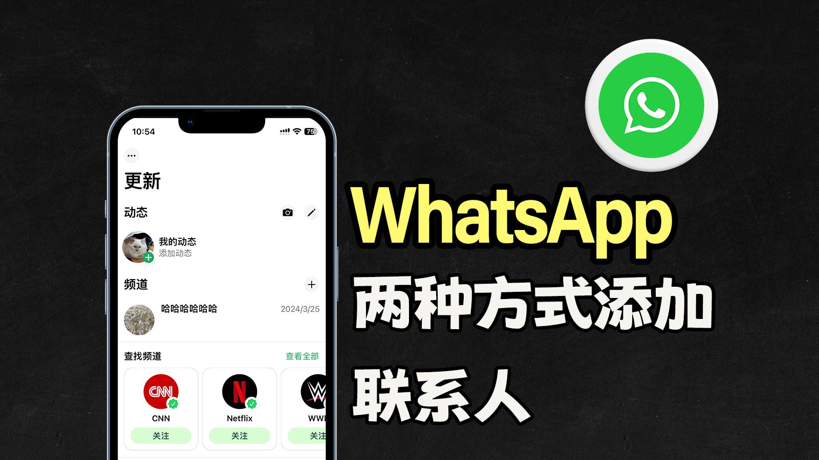 whatsapp官网版下载_樱花动漫官网下载版_官网whatsapp下载安装