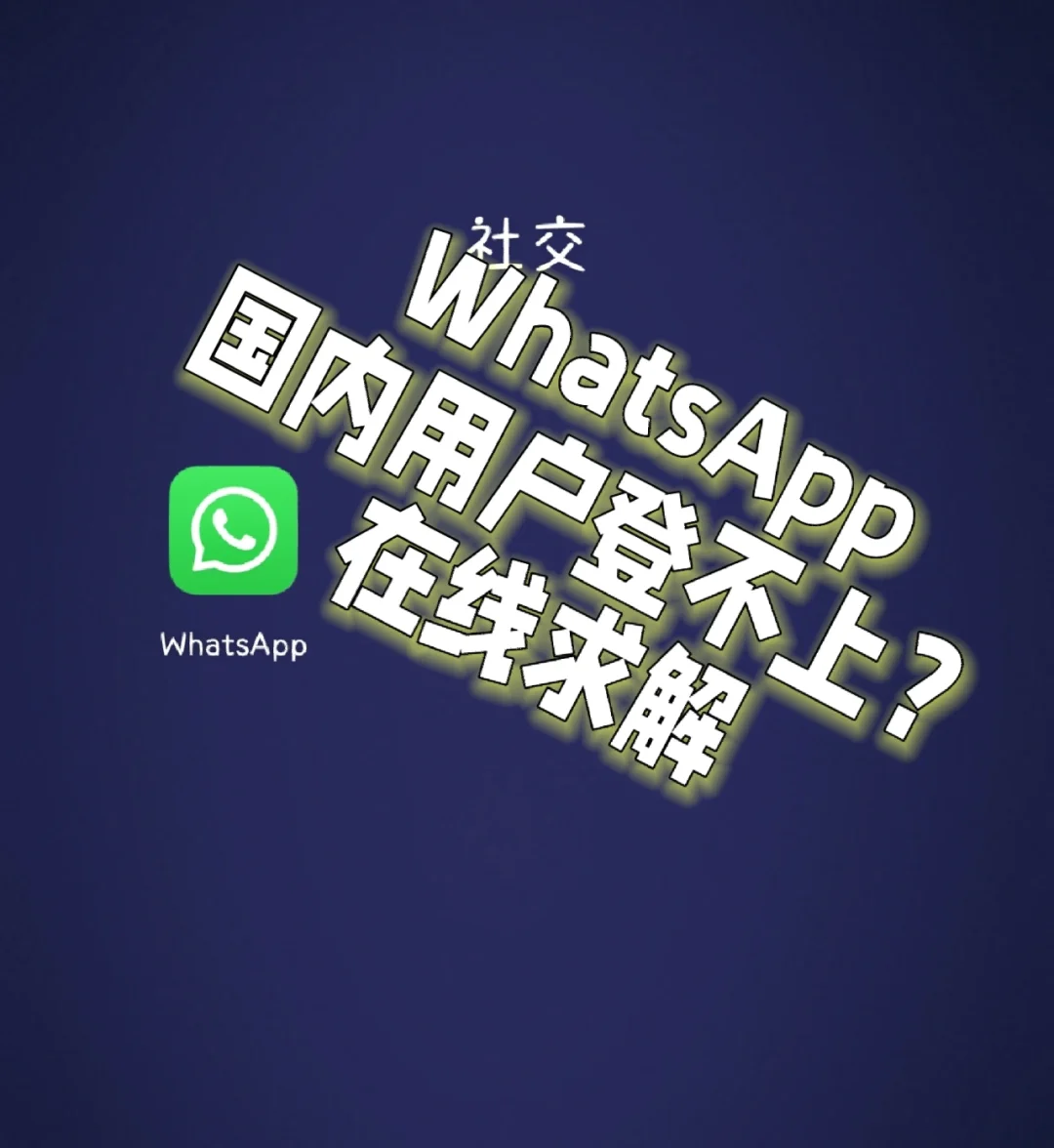 whatsapp中文官网下载_whatsapp官方中文正版_whatsapp中文版