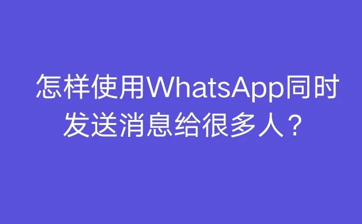 安卓下载WhatsApp_安卓下载whatsapp方法_whatsapp怎么下载安卓