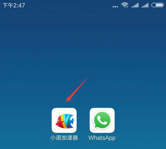 官网下载安装_官网下载app豌豆荚_whatsapp官网下载