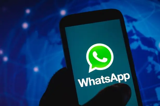 官网下载phigros_官网下载安装_whatsapp官网下载