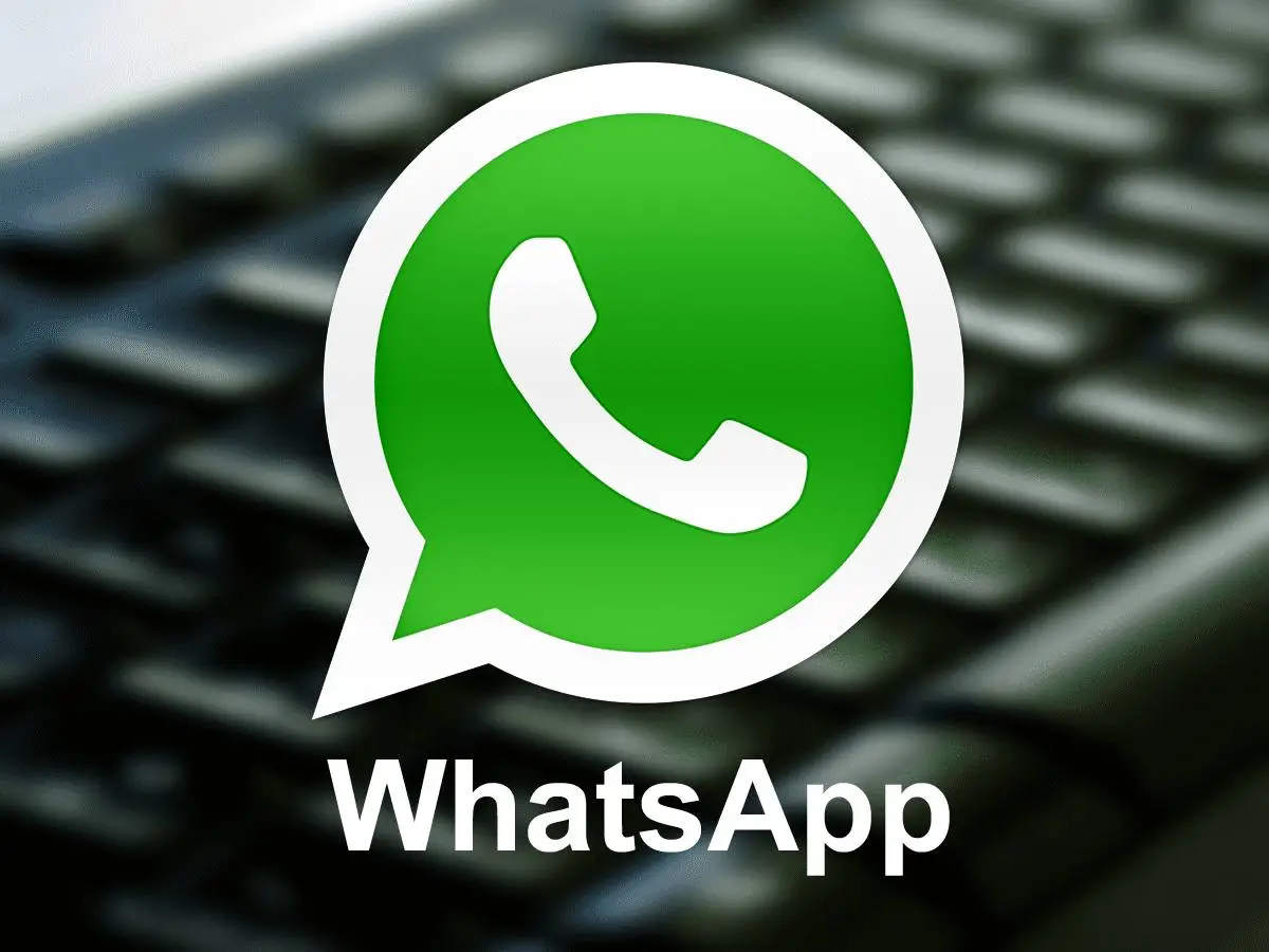 whatsapp中文版_whatsapp官方中文正版_whatsapp中文官网下载