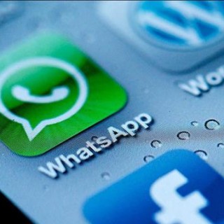 官方whatsapp下载安装_官方whatsapp_whatsapp官方app