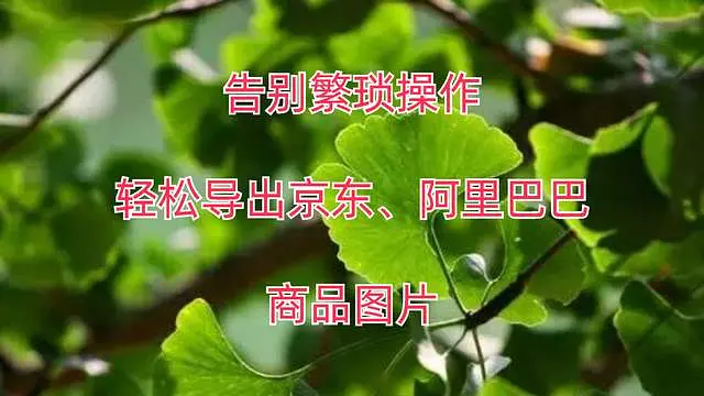 钱包注销什么意思_im钱包怎么注销_钱包注销不了是什么意思