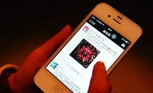 whatsapp怎么视频通话_whatsapp怎么视频通话_whatsapp怎么视频通话