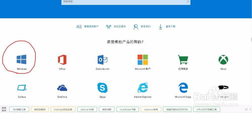 windows系统在哪里下载