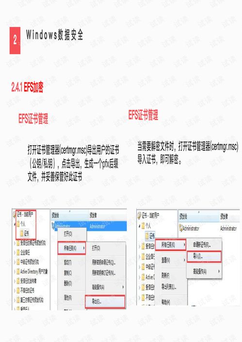 windows操作系统pdf