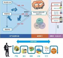 区块链食品溯源系统