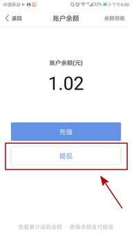 USDT需要提到钱包吗