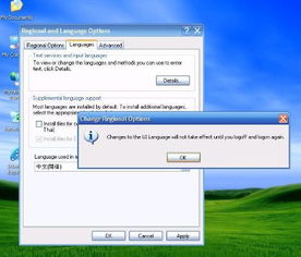 windows系统更换语言
